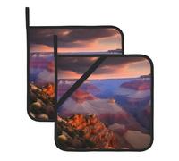 HJFCZH Beauty Grand Canyon Prints Lot de 2 maniques épaisses et durables pour soulever les couvercles dans la cuisine, enlever les bols et les assiettes des micro-ondes et fours