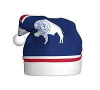 HJFCZH Chapeau de Noël imprimé drapeau de l'État du Wyoming pour adulte, ce qui en fait un cadeau amusant et durable pour homme et femme