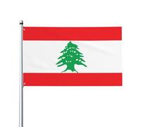 HJFCZH Drapeau du Liban imprimé pour décoration d'extérieur - 0,9 x 1,5 m - Jeté en polyester vif pour décoration de cour, terrasse et fête