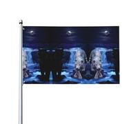 HJFCZH Drapeaux de décoration d'extérieur en polyester vif pour cour, patio et fête - Motif tigre blanc et panthères noires - 0,9 x 1,5 m