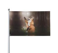 HJFCZH Drapeaux de décoration d'extérieur en polyester vif pour cour, terrasse et fête, 0,9 x 1,5 m