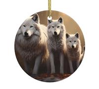 Hjfczh Famille de loups - Décoration circulaire en céramique - Pour l'hiver et Noël