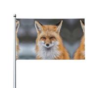 HJFCZH Fox Prints Drapeaux de décoration d'extérieur en polyester vibrant pour cour, terrasse et fête 0,9 x 1,5 m