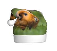 HJFCZH Joli chapeau de Noël imprimé cochon d'Inde pour adulte, ce qui en fait un cadeau amusant et durable pour homme et femme