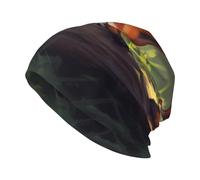 HJFCZH Lazy Fox Picture Bonnet tricoté élastique chaud pour homme et femme Noir