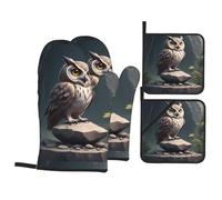 HJFCZH Owl On The Stone Lot de 4 maniques isolantes épaisses et anti-brûlure pour micro-ondes, four, barbecue extérieur