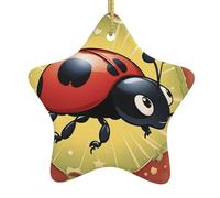 HJFCZH Pendentif en céramique pour sapin de Noël Motif coccinelle Sept étoiles Facile à accrocher sur les arbres, les portes et les fenêtres