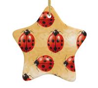 HJFCZH Pendentif en céramique pour sapin de Noël Motif coccinelle Sept étoiles Facile à accrocher sur les arbres, les portes et les fenêtres
