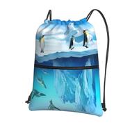 HJFCZH Penguins On The Iceberg Prints Sac à dos zippé avec cordon de serrage - Sac de gym léger avec poche avant - Idéal pour les voyages et le yoga