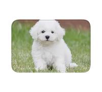 HJFCZH Tapis à ourlet imprimé chien bichon frisé 40 x 60 cm - Housse de bain en polyester durable avec dos antidérapant pour salle de bain, coiffeuse et suites d'invités