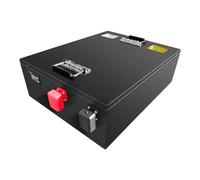 HJGHY 51.2v,100Ah, Batterie de Secours LiFePO4 51,2 V 50 Ah 100 Ah pour Centrale électrique Portable, pour Stockage d'énergie Solaire, Camping-Car, Chariot élévateur, avec Chargeur