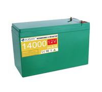 HJGHY Batterie de Rechange Rechargeable pour pulvérisateur électrique 12 V, 8 Ah, 12 Ah, 16 Ah, 20 Ah, Batterie Lithium-ION 12 V pour Lampe Solaire/pulvérisateur,12v14ah