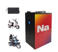 HJGHY Batterie Li-ION 48 V 15 Ah 20 Ah 23 Ah pour Moto électrique, 60 V 20 Ah, avec Chargeur, pour Moteur de Tricycle et cyclomoteur,48v,23Ah
