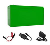 HJGHY Batteries Lithium Rechargeables 12 V pour pulvérisateur, 6 Ah, 8 Ah, 10 Ah, 12 Ah, 14 Ah, 16 Ah, 18 Ah et 21 Ah, avec Chargeur et câble de Connexion pour Moteur de 0 à 250 W.,12v12ah