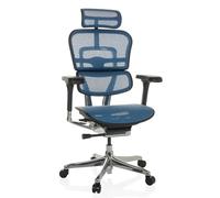 hjh OFFICE Chaise de Bureau Ergonomique ERGOHUMAN GEN2 Design Original, Utilisation 24h/24 Fauteuil de Bureau avec Soutien Lombaire Flexible, Filet Bleu