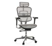 hjh OFFICE Chaise de Bureau Ergonomique ERGOHUMAN GEN2 Design Original, Utilisation 24h/24, Fauteuil de Bureau avec Soutien Lombaire Flexible, Filet Gris Clair