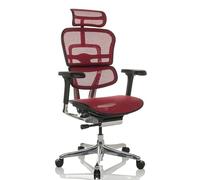HJH Office Chaise de bureau ERGOHUMAN GEN2 ergonomique 24h/24 soutien lombaire filet rouge