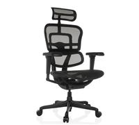 hjh OFFICE Chaise de Bureau Ergonomique ERGOHUMAN Signature GEN2 Design Original, Fauteuil de Bureau avec Soutien Lombaire Flexible, Tissu résille, Noir