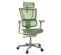 hjh OFFICE Chaise de Bureau Ergonomique ERGOHUMAN Slim G GEN2 Design Original, Utilisation 24h/24, Chaise pivotante avec Soutien Lombaire Flexible, Filet Vert
