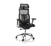 hjh OFFICE Chaise de Bureau Professionnelle POFIT GEN2 Filet Chaise pivotante Ergonomique avec Soutien Lombaire Flexible, Noir, 652284