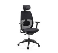 hjh Office Chaise de Bureau Skandis Pro avec Appui-tête, pivotante, Ergonomique, Professionnelle, avec mécanisme synchrone, Dossier en Maille 3D, Support Lombaire et accoudoirs 4D, Noir