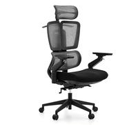 hjh OFFICE Ergo U2 Flex3 Chaise de bureau pivotante, professionnelle, avec dossier en maille respirante et siège robuste, support lombaire réglable en hauteur, noire