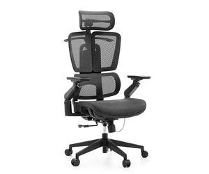 hjh Office Ergo U2 Pro3 Chaise de Bureau pivotante, Professionnelle, en Maille de Nylon, Support Lombaire réglable en Hauteur, réglage de la Profondeur d'assise en continu, accoudoirs 6D, Noir