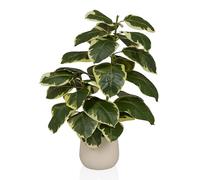 Plante artificielle / Arbre artificiel FICUS 3 85 cm Ficus Elastica Arbre à caoutchouc Plastique vert hjh OFFICE Vert/Blanc G
