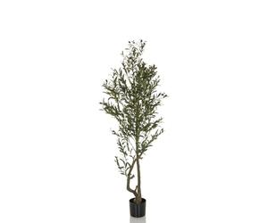 hjh OFFICE Plante Artificielle Olive I Olivier Artificiel 172 cm, Arbre Artificiel Facile d'entretien, Vert 871053