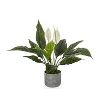 hjh OFFICE Plante Artificielle Spathiphyllum 1 - Plante Artificielle à Feuilles persistantes d'environ 60 cm - Très réaliste, Facile d'entretien, inodore et décorative