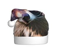 HJKdfv Chapeau de fête de Noël unisexe avec imprimé visage de raton laveur - Bonnet de Père Noël pour homme et femme - Chapeau fantaisie en peluche
