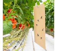 HJLIAN Lot de 20 autocollants anti-mouches 25 x 15 cm, pour attraper les pucerons et tuer les insectes
