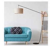 HJLJKG Lampadaire Moderne lampadaire Minimaliste Moderne lampadaire d'éclairage intérieur pour la Chambre à Coucher du Salon Décoration de la Salle de décoration Nordique (Couleur d'hemblée