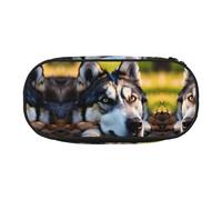 HJLUUFT Trousse de maquillage avec fermeture éclair Motif chien Husky