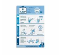 HJNAOKGWHQ Cat CPR Choking First Aid Poster Pet Emergency Guide Educational Wall Decor for Home Pet Owner Veterinary Clinic Print(Unframed,16x24inch(40x60cm))