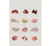 HJNAOKGWHQ Poster Explorez les viandes d'organes, guide d'alimentation saine des types d'abats et de leurs avantages, tableau éducatif pour décoration murale de cuisine et de bureau (encadré, 30 x 45