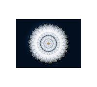 HJOSWVNS Poster Mural Mandala Or Blanc Toile Peinture Chambre Tableaux, Posters et Arts Décoratifs Tableau Peinture Sur Toile Tableau Decoration Murale Chambre Salon Sans Cadre 50x70cm/1 Pcs