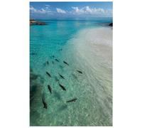 HJOSWVNS Tableau Decoration Murale Eau Vert Bleu Toile Peinture Affiche Decoration Murale Salon Chambre Poster Mural Sans Cadre Tableaux, Posters Et Arts Décoratifs Impression Sur Toile 20x30cm/1 Pcs