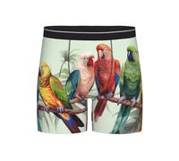 HJRT Boxer pour homme doux et respirant évacuant l'humidité, extensible, motif perroquets colorés sur un arbre, Noir , XXL