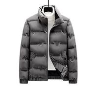 HJUGHPN Doudoune pour homme, à col montant pour homme, veste d'hiver chaude et décontractée pour homme, manteau de neige coupe-vent en duvet de canard pour homme, gris, taille L