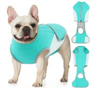 Hjyokuso Body pour chien après opération chirurgicale pour petits chiens, chiennes et chiennes - Respirant et élastique - Combinaison anti-léchage pour chihuahua, Yorkshire - Vert - Taille XS