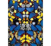 HKAHF AJWUQ Affiche de Damien Hirst《Porte vers Les Portes du Ciel》Art Mural Peinture sur Toile Moderne Damien Hirst Impressions pour La Maison Décoration Murale Images 60x80cm sans Cadre