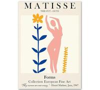 HKAHF AJWUQ Affiche Henri Matisse 《Corps de Fille Corail Colombe》Art Mural Henri Matisse Peintures sur Toile Impressions Rétro pour Décoration De Chambre Photo 30x40cmx1 sans Cadre