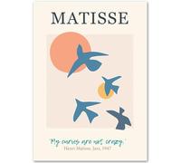 HKAHF AJWUQ Célèbre Affiche Henri Matisse 《Lever du Soleil Et Oiseaux》Art Mural Henri Matisse Boho Peintures sur Toile Impressions Rétro pour La Décoration De La Chambre Photo 30x40cmx1 sans Cadre