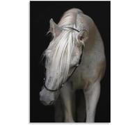 HKAHF AJWUQ Chevaux Relations Affiche Coiffure Art Mural Salon de Barbier Accessoires Impressions Moderne Peinture sur Toile pour Salon De Barbier Salle Décor Photo 15x20cmx1 sans Cadre