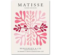 HKAHF AJWUQ Henri Matisse Affiche Corail Feuilles Art Mural Henri Matisse Impressions Barbarie Peinture sur Toile Photo Nordique pour Salon Décor 35x50cmx1 sans Cadre