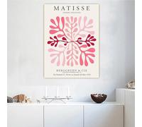 HKAHF AJWUQ Henri Matisse Poster Feuilles Corail Art mural Henri Matisse Impressions sur toile Barbarie, Image nordique pour décoration de salon 60 x 80 cm x 1 sans cadre