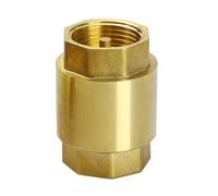 Hkfgdjdl Clapets anti-retour à ressort verticaux anti-retour 2,5 cm pour tuyau d'aspiration de fontaine, lavage