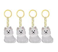 Hkfgdjdl Lot de 2/3/4/5/10 porte-clés transparents avec compartiment pour chiens et chats