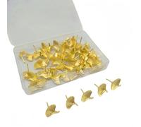 Hkfgdjdl Lot de punaises décoratives sur le thème des feuilles de Ginkgos, pour tableaux d'affichage, bureau, école, fournitures de montage mural